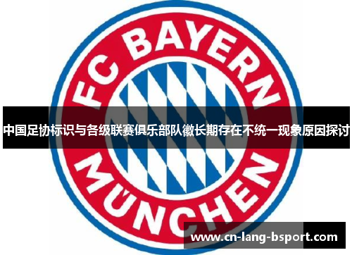 中国足协标识与各级联赛俱乐部队徽长期存在不统一现象原因探讨